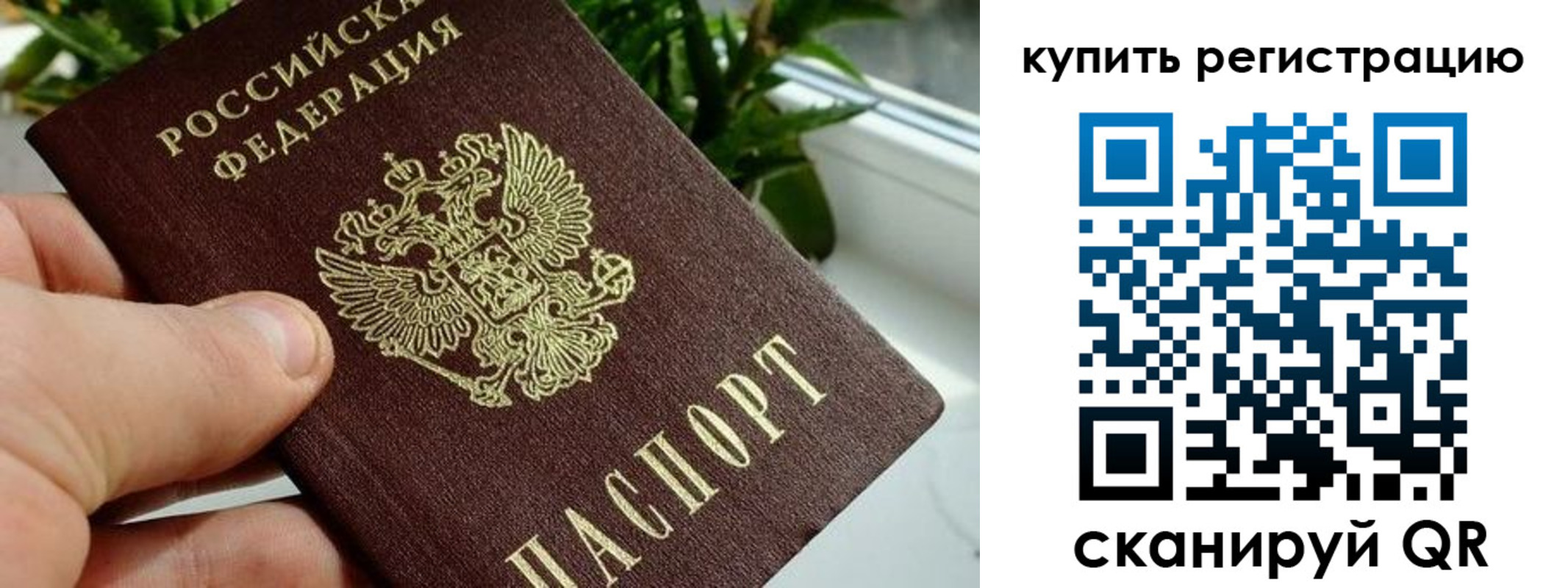 прописка гарантия в Аркадаке